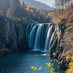 Shunji Traditional Cold Noodles User Photo