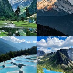 A Ma de su you cha User Photo