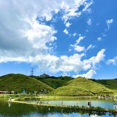 东坪饭店(白廊店) User Photo
