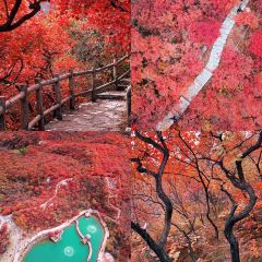 杨萍粉店 User Photo