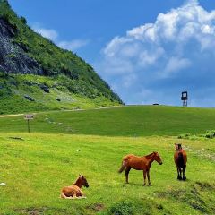 夜郎别院(凉都青瓦房烙锅) User Photo