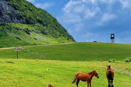 夜郎别院(凉都青瓦房烙锅)