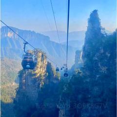 Tang you ba ba User Photo