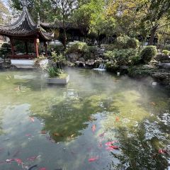 JUBILEE GARDEN User Photo