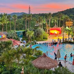 大燚果木烧鹅·明炉头牌清远鸡(山湖城店) User Photo