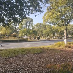 宜春市汤老三夜宵店(秀江风情店) User Photo