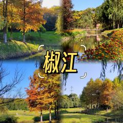 王天顺海苔饼 User Photo