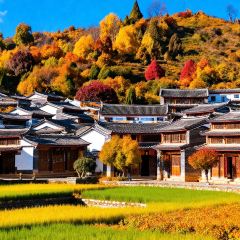 一品凉饭庄·建水人家分店 User Photo