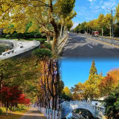 兰姐海鲜平价海鲜·南通土菜(桃坞路店) User Photo