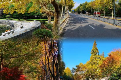 ZHUA FAN YU JIAN NANG KEN ROU