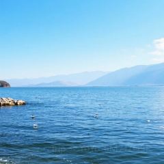 丽江飞鸟民谣酒吧(束河店) User Photo