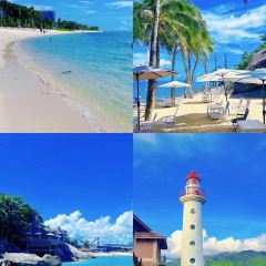 dan jia yu pai User Photo