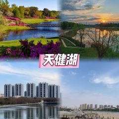 四厂烩面(棉纺路店) User Photo