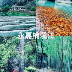 LIN SHANG REN JIA User Photo