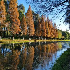 AI SHANG JUN User Photo