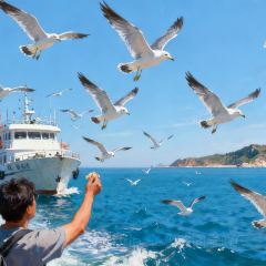 FRESH UNDER THE SEA 여행 사진