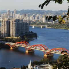 肥螺莊·螺螄鴨腳煲張用戶圖片