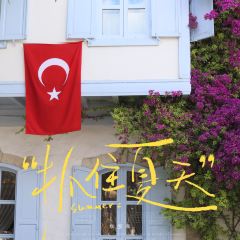 Alakoy Alacati Pastanesi張用戶圖片
