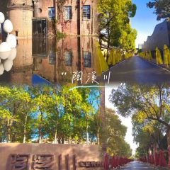 樊老头樊氏牛骨粉(婺源书乡路店) User Photo