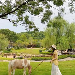 枫桂庄园 User Photo