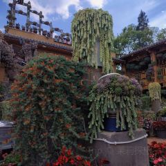 912·张宜庄园(3号店) 여행 사진