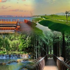 AI SHANG JUN User Photo