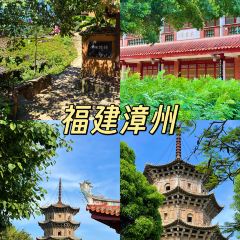 飞茑集樢咖啡 User Photo