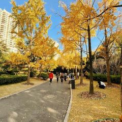 Zhengweizhaiguobacai(Xi Bei Jiao Dian ) User Photo