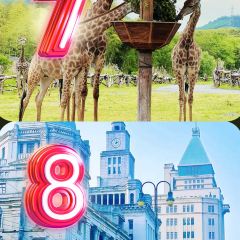 XU ZHONG LIANG User Photo