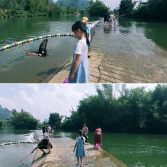 一尺稻田咖啡 User Photo