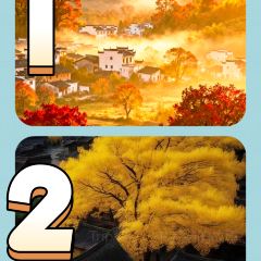 张林阿山姜母鸭(泉州新华北路店) 여행 사진