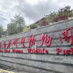 伊帆食府地方特色美食 User Photo