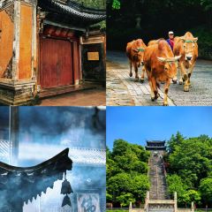 王天顺海苔饼 User Photo