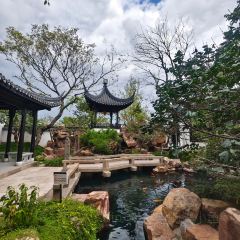 岳家茶馓 User Photo