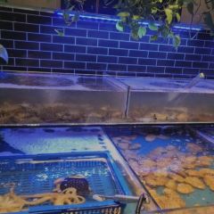 川骄海鲜自助(新华贸店) User Photo