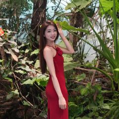 泰椰天香·江景六国料理 User Photo