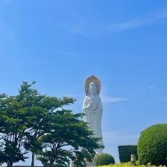 嫚姐清补凉·水果炒冰(渔村店) User Photo