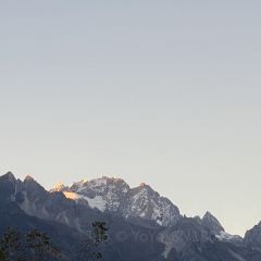 Kuiran Snow Mountain Treehouse Coffee User Photo