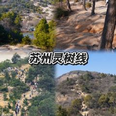 LIN SHANG REN JIA User Photo