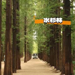 哎呀媽媽喲嵐山豆腐木柴大鍋魚張用戶圖片