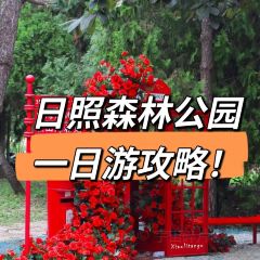 哎呀媽媽喲嵐山豆腐木柴大鍋魚張用戶圖片