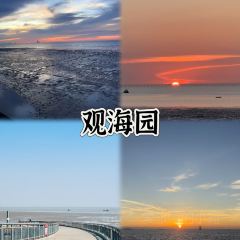 胜利饭店(沈荡店) User Photo