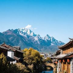 丽江飞鸟民谣酒吧(束河店) User Photo