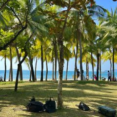 嫚姐清补凉·水果炒冰(渔村店) User Photo