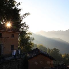 飞茑集樢咖啡 User Photo