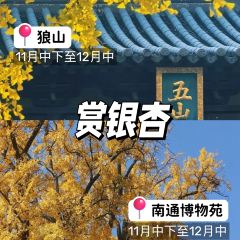 NAN HE TONG User Photo