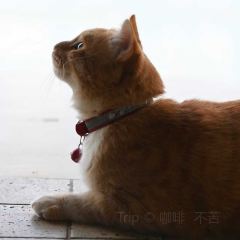 大理安汋海景酒店·餐厅 User Photo