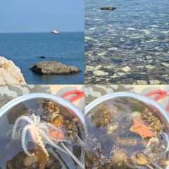 海島日記（養馬島店）張用戶圖片