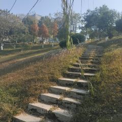 宜春市汤老三夜宵店(秀江风情店) User Photo