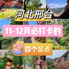 白家缸炉烧饼 User Photo